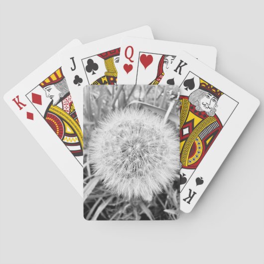 トランプ (裏面)