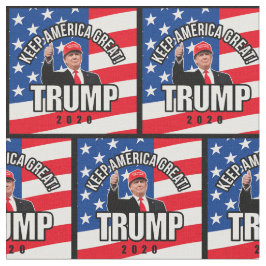 トランプ2020アメリカ保パタ素晴らしーン ファブリック