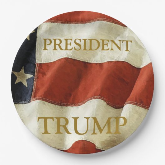 トランプ2024 ペーパープレート (正面)