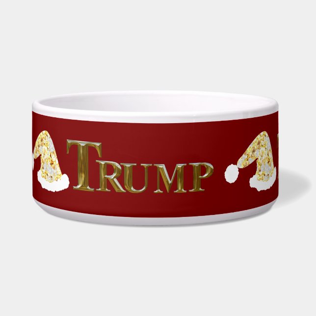トランプ2024 ボウル (正面)