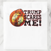 トランプ・スカレス2016 長方形シール (バッグ)