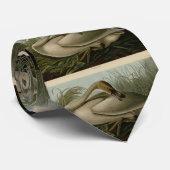 トランペッター・スワン – オードゥボンの鳥たち ネクタイ (ロール)