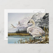 トランペッターSWANはがき ポストカード (正面/裏面)