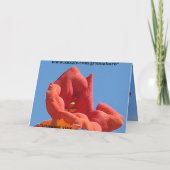 トランペットつる植物&ハニーサックルカード カード (裏面)