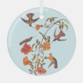 トランペットのオレンジの花を持つマングローブハチドリ ガラスオーナメント (正面)