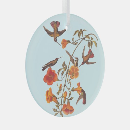 トランペットのオレンジの花を持つマングローブハチドリ ガラスオーナメント (正面右)
