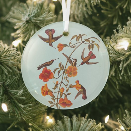 トランペットのオレンジの花を持つマングローブハチドリ ガラスオーナメント (インサイチュ)