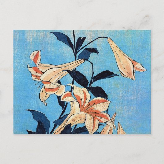 トランペットのユリ ポストカード (正面)
