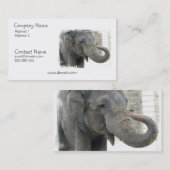 トランペットを吹く象の名刺 名刺 (正面/裏面)