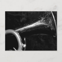 トランペットベル白黒