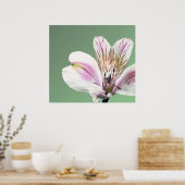 トランペットリリー ポスター (キッチン)