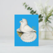 トランペット鳩 白 ポストカード (スタンド正面)
