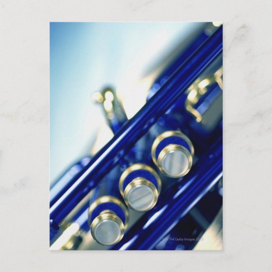 トランペット ポストカード (正面)