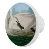 トランペータスワンバーズオブアメリカオードボンプリント セラミックノブ (右)