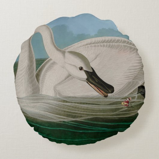 トランペータスワンバーズオブアメリカオードボンプリント ラウンドクッション (裏面)