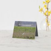 トランペータースワンサンフアン島誕生日|悔やみや弔慰 カード (黄色い花)