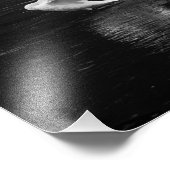 トランペーター白鳥B/w フォトプリント (角)