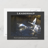 トランペーター・スワンやる気を起こさせるズ・ギフト ポストカード (正面/裏面)