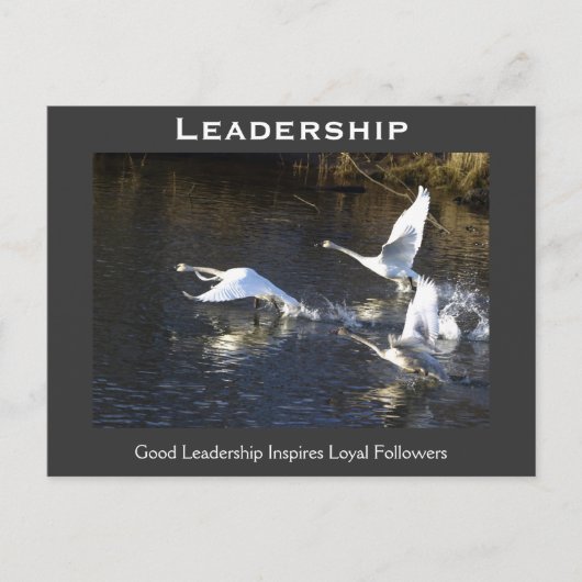 トランペーター・スワンやる気を起こさせるズ・ギフト ポストカード (正面)