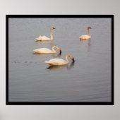 トランペーター・スワンスのポスター ポスター (正面)