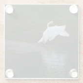 トランペーター・スワン ガラスコースター (裏面)