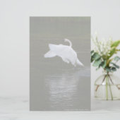 トランペーター・スワン 便箋 (スタンド正面)