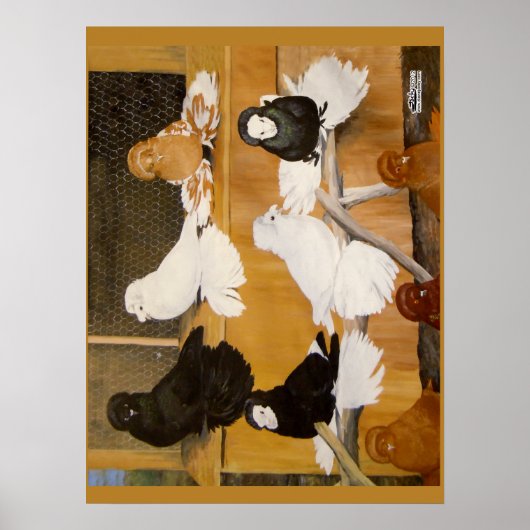 トランペーター・ピジョン・チャンピオン ポスター (正面)