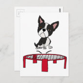 トランポリン漫画の可愛いボストンテリー犬 ポストカード (正面/裏面)