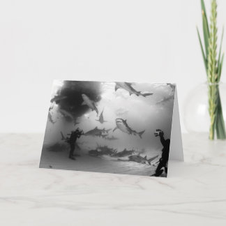 トラ及びレモン鮫のnotecard カード