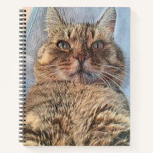 トラ威厳のあるネコ