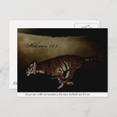 トラ感動的ーがレース走に励ます！ ポストカード (正面/裏面)