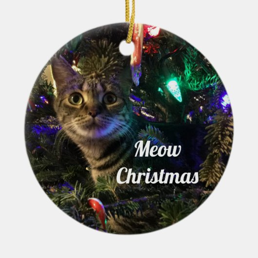 トラ猫のクリスマスツリーオーナメント セラミックオーナメント (正面)