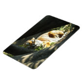 トラ猫の昼寝 マグネット (左側)