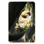 トラ猫の昼寝 マグネット (縦)