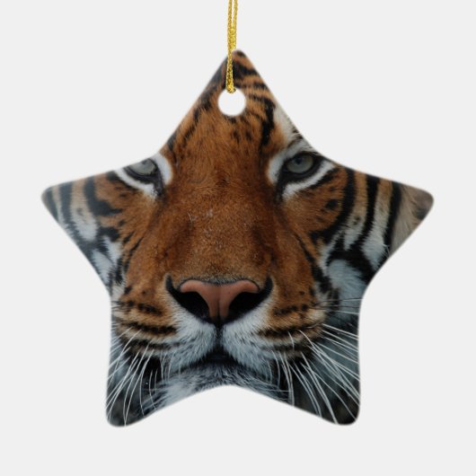 トラ猫の縞模様 ジャングルの霧のような動物 セラミックオーナメント (正面)