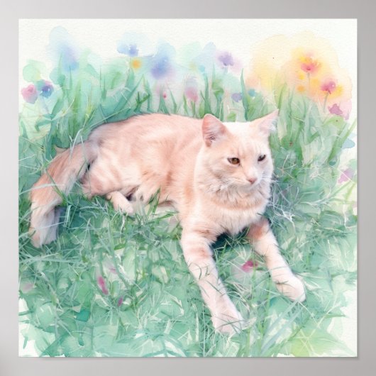 トラ猫 ポスター (正面)