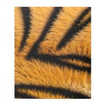 トラ素晴らしの毛皮の表面