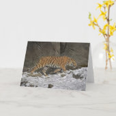 トラ8か月の古いカブスの挨拶状 カード (黄色い花)