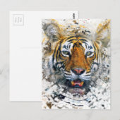 トラ ポストカード (正面/裏面)