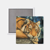 トラ マグネット (正面/裏面)