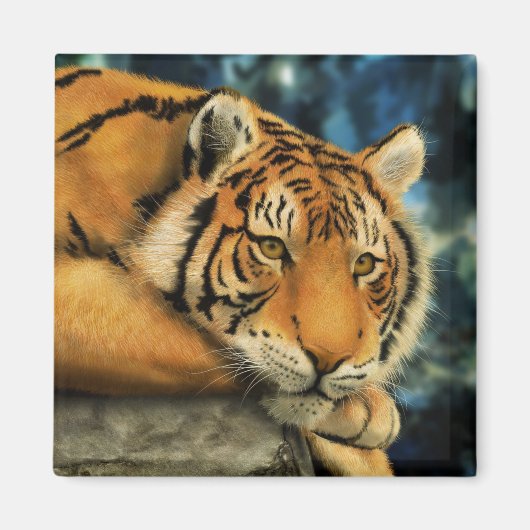 トラ マグネット (正面)