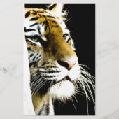 トラ 便箋 (正面)