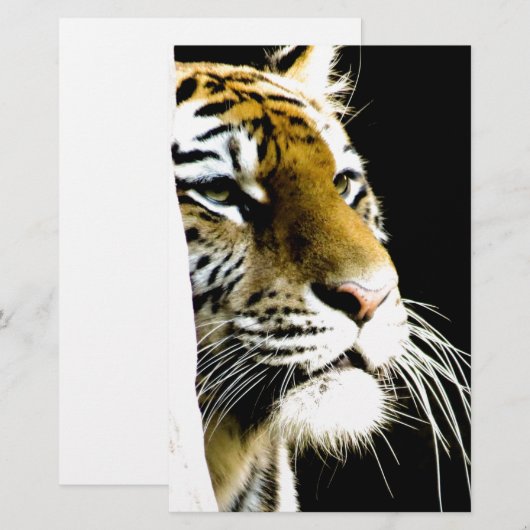 トラ 便箋 (正面/裏面)