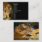 トラ 名刺 (正面/裏面)