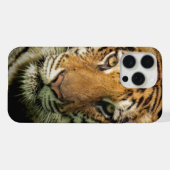 トラ iPhoneケース (裏面横)