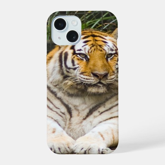 トラ iPhone 15ケース (裏面)