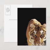 トラ (Panthera tigris) ポストカード (正面/裏面)