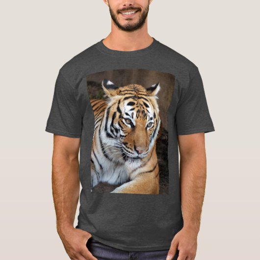 トラ Tシャツ (正面)
