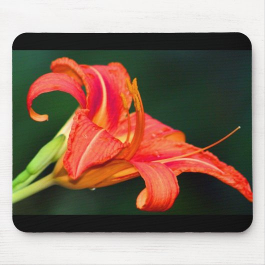 トラLilly マウスパッド (正面)