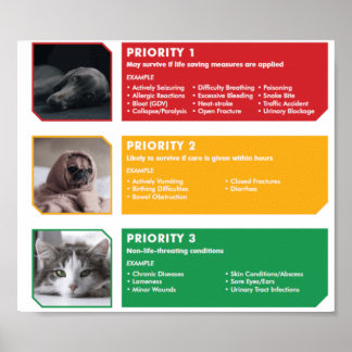 トリアージポスター ポスター